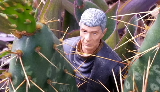 Spock among cacti