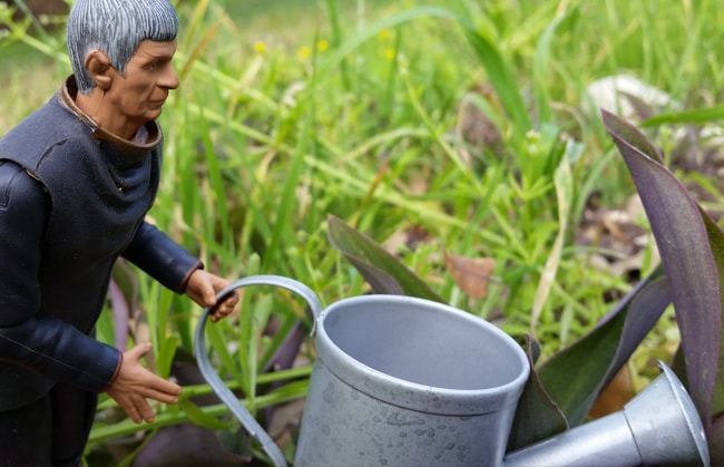 Spock holding watering can