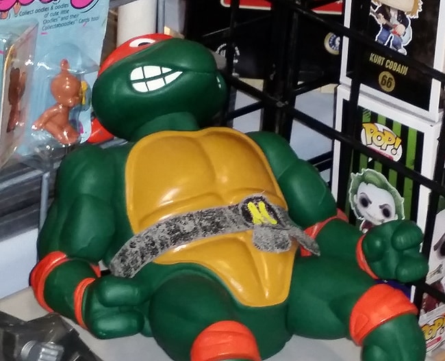 Ninja Turtle - Michelangelo