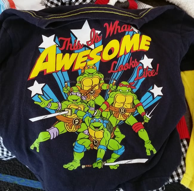 Ninja Turtles shirt: "This is what awesome looks like!"