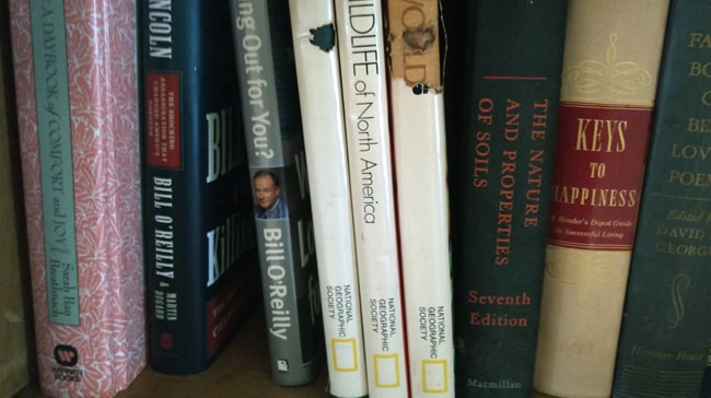 Other books - Bill O'Reilly, National Geographic, and poetry